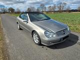 Mercedes-Benz CLK 200 Kompressor Cabriolet - Mercedes-Benz CLK 200 in Berlin