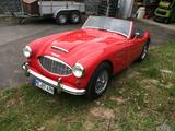 Austin Healey Andere - Austin Healey Gebrauchtwagen von 1960