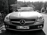 Mercedes-Benz Mercedes Benz SLK R172 200 - Mercedes-Benz 200: Sl