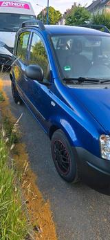 Fiat fiat panda mit mit 131000 km  hauto ist in... - Fiat Panda in Hamm