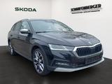 Skoda Octavia Combi Scout *AHK,Sthz.,DCC* - Skoda: Combi Scout