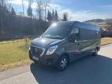 Nissan Interstar L3H2 180PS/ Wohnmobil, 3,5T Anh - Nissan Interstar mit Schiebetür