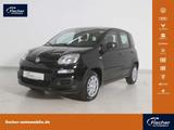 Fiat Panda 1.0 GSE Hybrid Pandina Icon - Fiat Panda Neuwagen mit Benzin-Antrieb