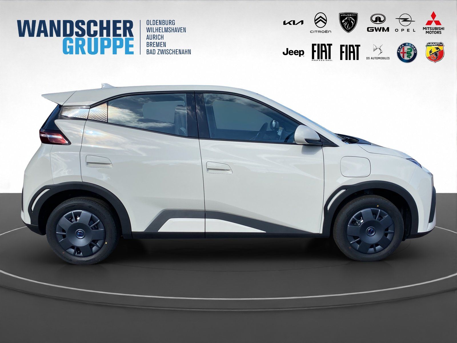 BYD DOLPHIN SURF