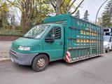 Fiat Ducato Pritsche LKW 2,8l Glasreff Fah... - gebrauchte Fiat Ducato aus dem Jahr 2002