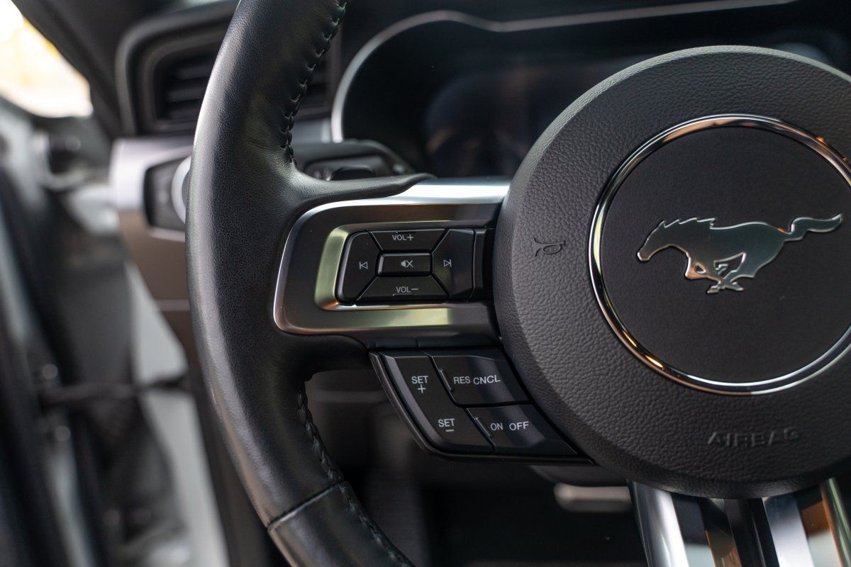 Ford Mustang (Mach1 5.0 V8 Styling-Paket/1.Hand)