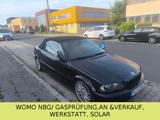 BMW 323 Ci/E 46/Elektr.Cabrio/Alu/Sport - BMW 323 aus 2000: Cabrio, 323ci