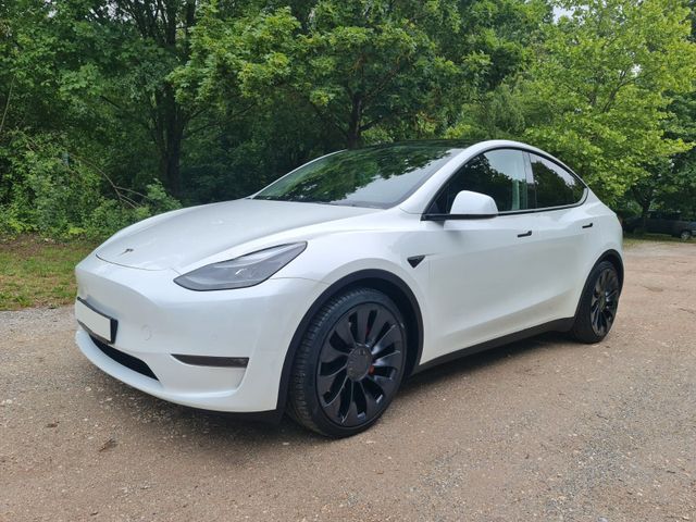 TESLA Model Y Performance 