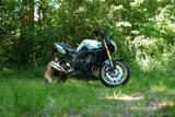 Yamaha FZ8 (RN25), 106 PS | top gepflegt - YAMAHA R8