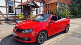 Volkswagen Eos 1.4 TSI Cup BlueMotion Technology Cup Bl... - Volkswagen Eos: Bluemotion