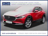 Mazda CX-30 2.0 M-Hybr. Selection NAVI SHZ HUD PDC - Mazda CX-30 in Essen
