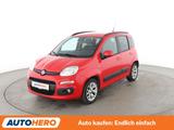 Fiat Panda 0.9 Lounge*PDC*SHZ*KLIMA*GARANTIE* - Fiat Panda: Rot