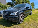 Mercedes-Benz Mercedes Benz ML 430 V8 W163 - Mercedes-Benz ML 430 aus 1999