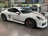 Porsche Cayman GT4 / ClubSport Paket/ Sammlerfahrzeug - Porsche Cayman: Gt4 Clubsport