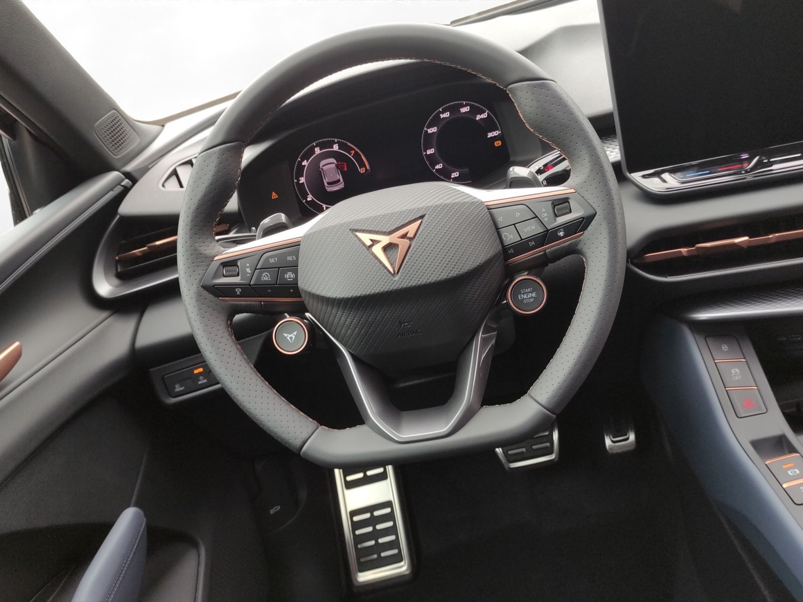 Cupra Terramar - Bild 10