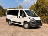 Fiat Ducato Luxusbus Panorama 8Sitze/Luf... - Fiat Ducato: Luxusbus