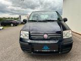 Fiat Panda 1.2 8V Dynamic Aut. *5-TÜRER*KLIMA* - Fiat Panda: 5.5