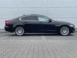 Jaguar XF 20d PRESTIGE TÜV/MOTOR  *NEU* AUTOMATIK TOP - Jaguar XF: 20d