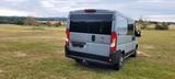 Fiat Ducato - gebrauchte Fiat Ducato aus dem Jahr 2023