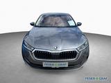 Skoda Octavia Ambition 1.4 iV TSI DSG *AHK*PDC - Skoda Octavia mit Hybrid-Antrieb