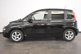 Fiat Panda Pop/KLIMA/LED/DAB - Fiat Panda in Erfurt