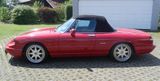 Alfa Romeo Spider - Alfa Romeo Oldtimer: Cabrio