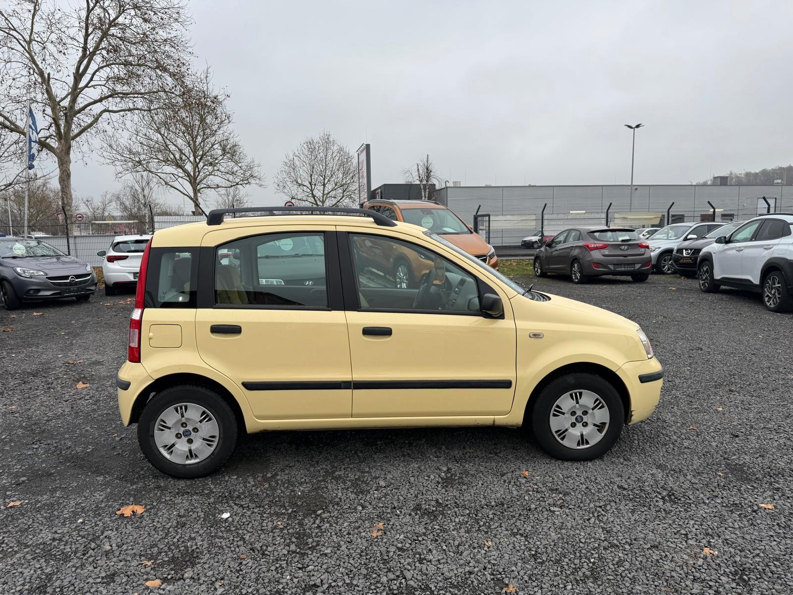 Fiat Panda 1.2 8V Dynamic/TÜV NEU