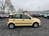 Fiat Panda 1.2 8V Dynamic/TÜV NEU - gebrauchte Fiat Panda aus dem Jahr 2006