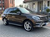 Mercedes-Benz ML350 CDI/ AMG/AHK/21Zoll/So... - Mercedes-Benz ML 350 in Hannover
