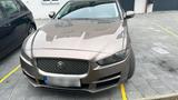 Jaguar XE 2015 - Jaguar XE von privat