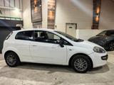 Fiat Punto Evo MyLife - Fiat Punto Evo Gebrauchtwagen