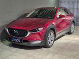 Mazda CX-30 Selection X-180/AWD/MT/Navi/Head-Up/Bose - Mazda CX-30 aus 2019
