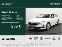 Skoda Octavia - Vorschau Bild 2
