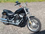 Harley-Davidson Softtail Standard FXST - HARLEY-DAVIDSON SOFTTAIL