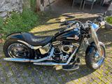 Harley-Davidson Heritage Softtail Umbau - HARLEY-DAVIDSON 2002 HERITAGE