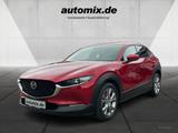 Mazda CX-30 SKYACTIC Selection,ACC,AUTOM. - rote Mazda CX-30