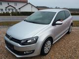 Volkswagen Polo V Silver Edition - Volkswagen Polo: Edition