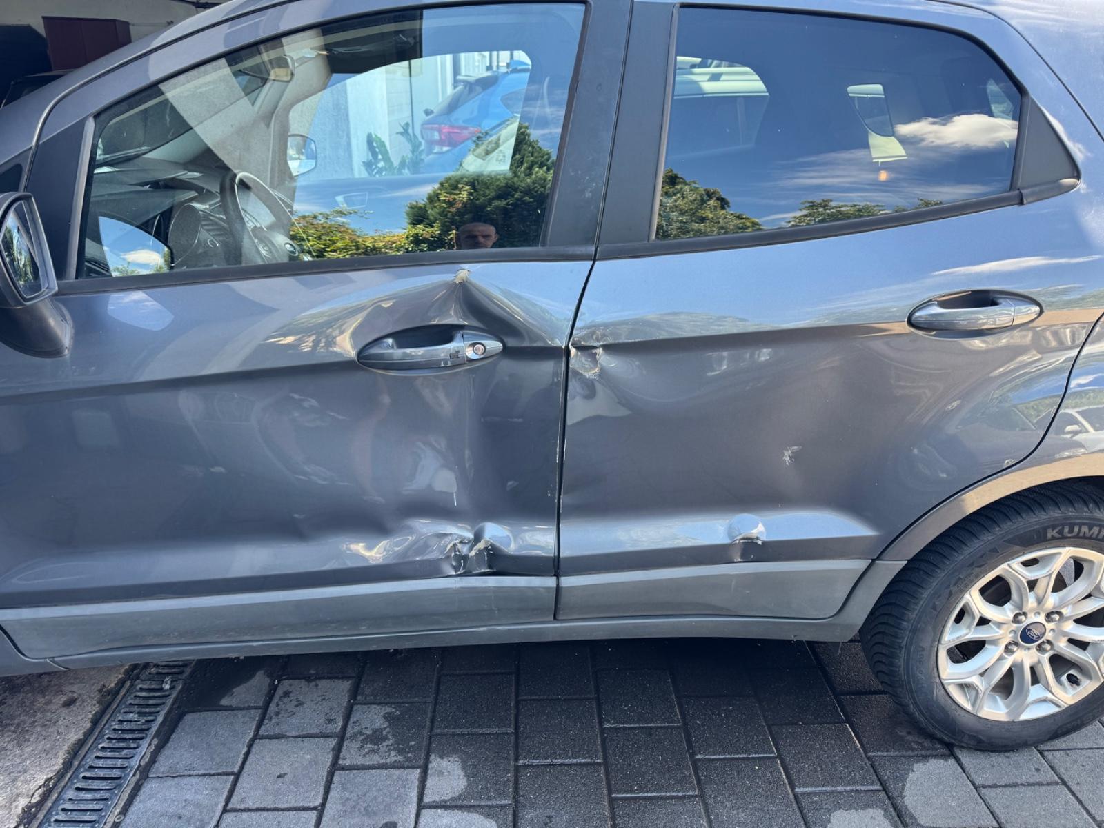 Ford EcoSport 2015 — interior