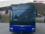 MAN LION'S CITY / A78 - MAN Betonmischer