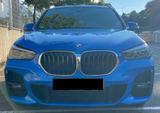 BMW X1 xDrive25d M Sport Steptronic | gepflegt 