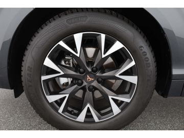 Cupra Terramar - 8