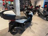 Honda Forza 350 Cool White 2026 *sofort verfügbar* - HONDA FORZA 350