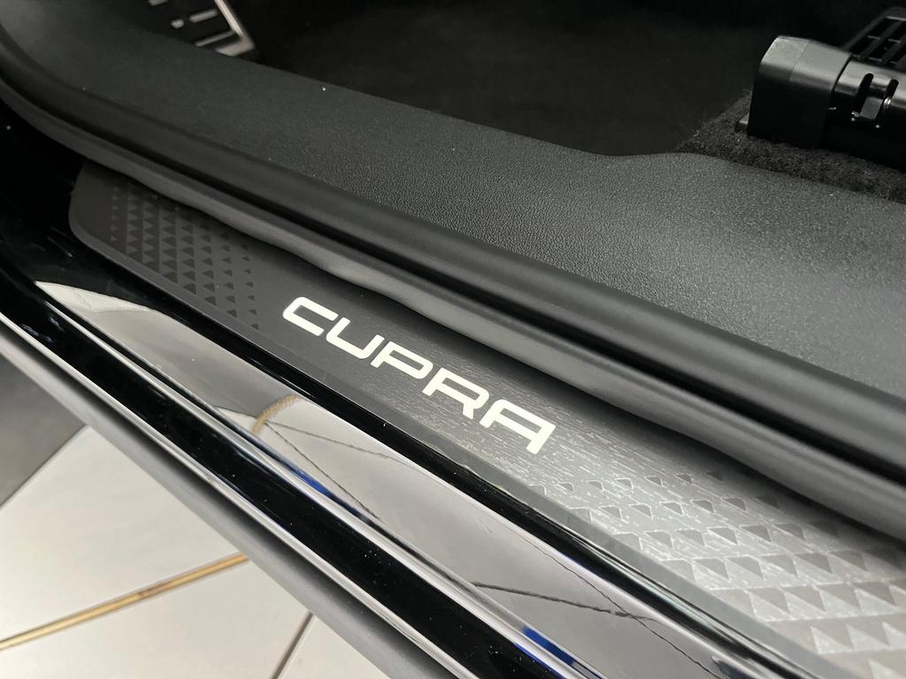 Cupra Terramar