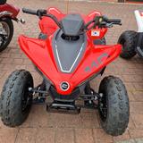 CFMOTO CFORCE 110 - CFMOTO CFORCE 110