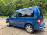 Volkswagen Caddy Life Gewinner *KLIMAAUTOMATIK*ALU*PDC*TÜV - Volkswagen Caddy: Gewinner