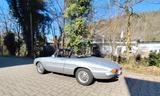 Alfa Romeo Rundheck-Spider mit 1600er Motor TÜV neu H-Kennz - Alfa Romeo: 1600