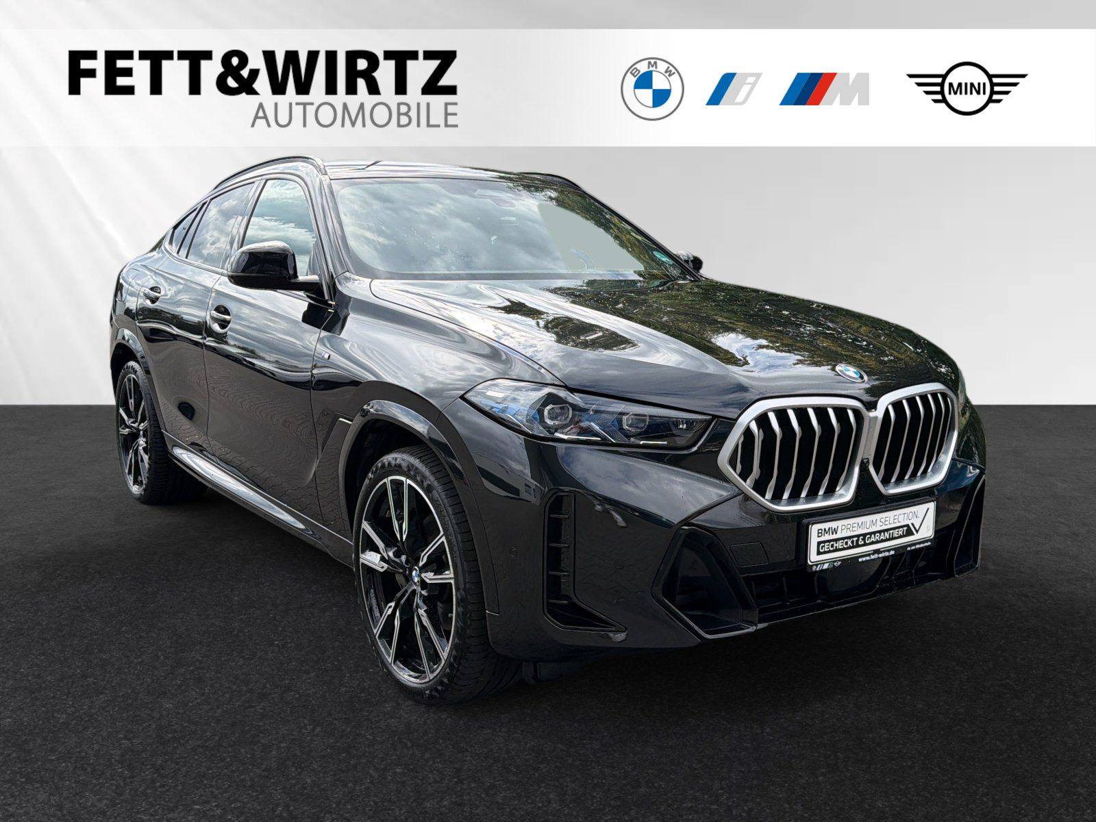 BMW X6 - Bild 1