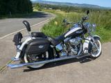 Harley-Davidson Softail deluxe FLSTN - Offers