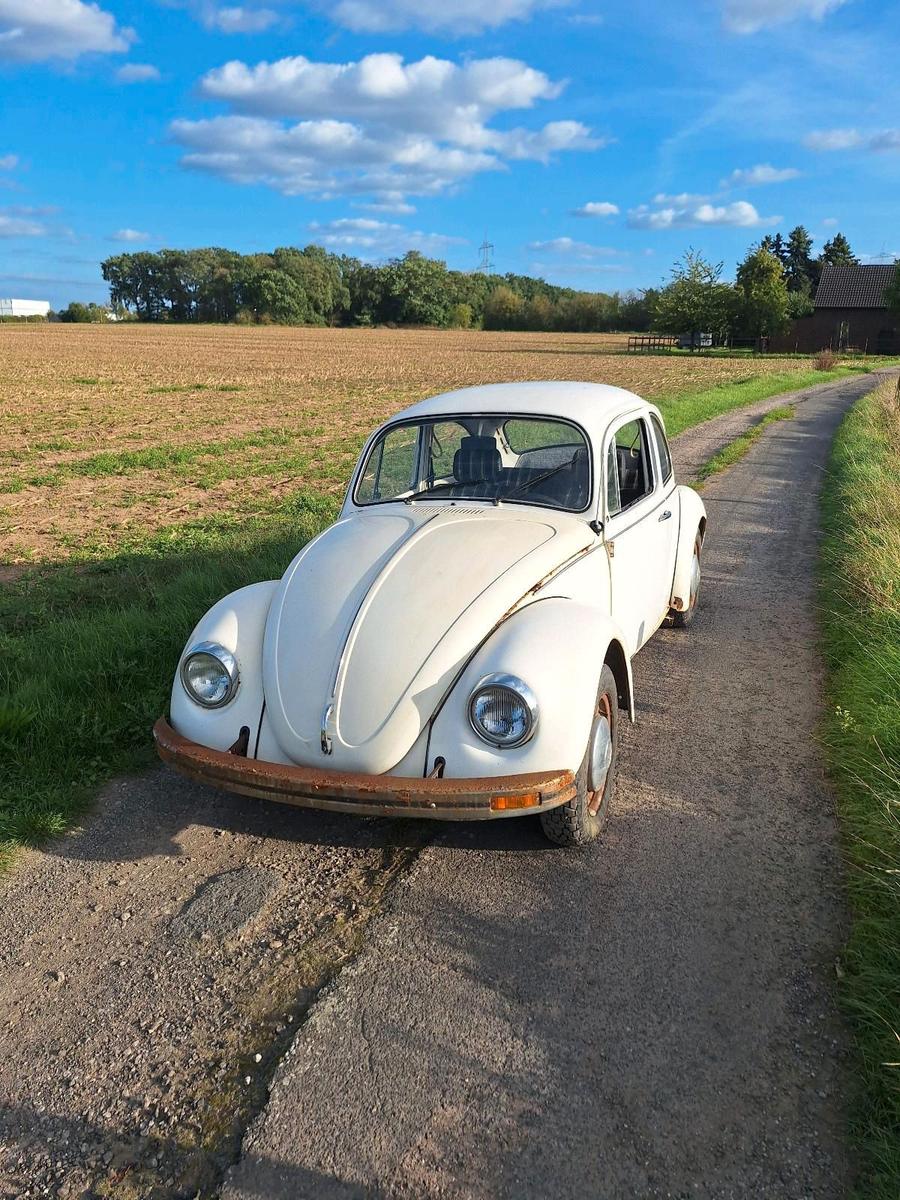 Volkswagen Andere