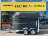 Böckmann Master 2-Pferdeanhänger Vollpoly 2,4t SK - Böckmann Pferdeanhänger
